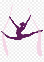 Aerial Silk-Kurs (Vertikaltuch) Mini